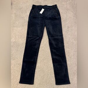 NWT LOFT Mariner Skinny Pants In Velvet, 27 Regular, Deep Space Blue